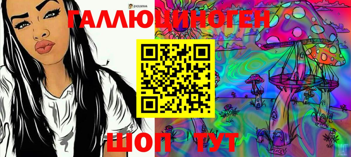 как найти   Галлюциногенные грибы мухоморы  Вход с VPN  Псилоцибиновые грибы мухоморы  Сергиев Посад 