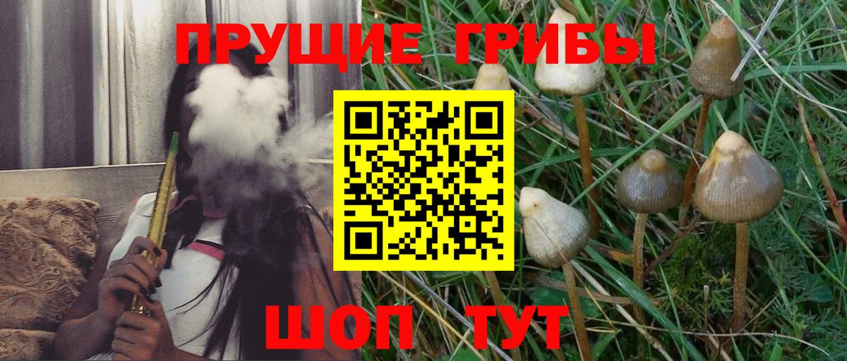 Псилоцибиновые грибы Magic Shrooms Сергиев Посад